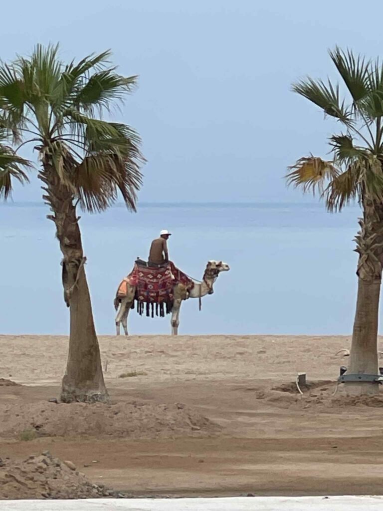 Home whatsapp image 2025 07 29 at 8.49.05 pm