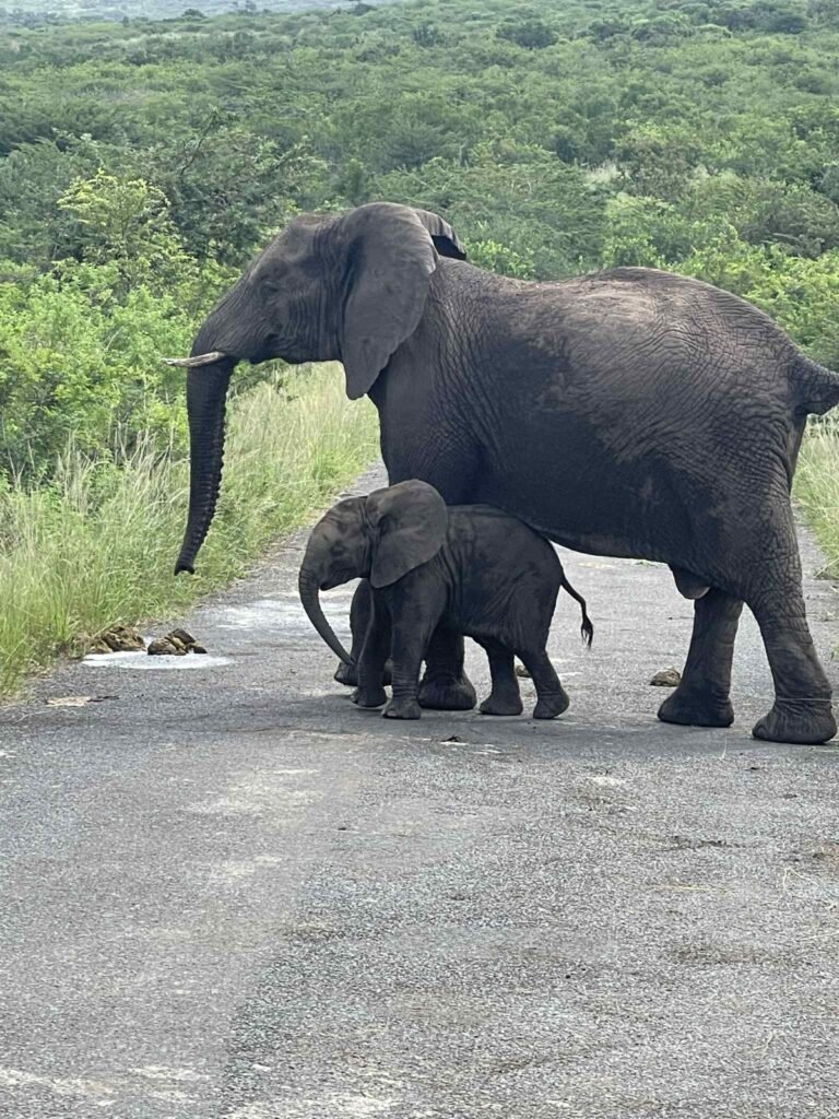 Home whatsapp image 2025 07 29 at 8.49.06 pm